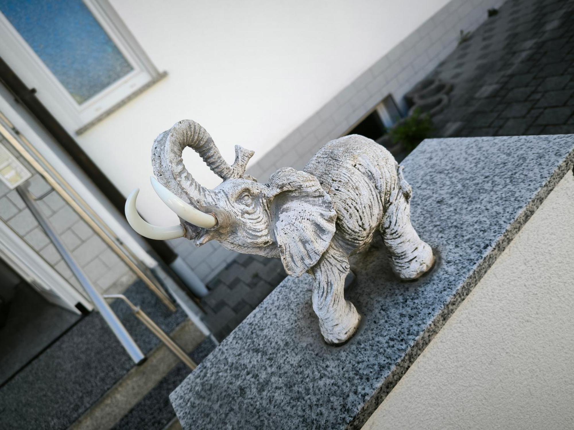 Ferienwohnung Elefanten Balingen Bagian luar foto